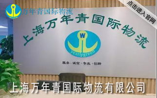 上海國際集裝箱海運代理 裝卸搬運的關鍵作用與專業實踐