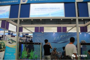近500家水產產業鏈企業齊聚合肥漁博會，現場亮點紛呈，行業盛事引領產業新方向