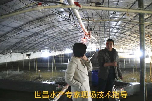 以先進典型引領高效漁業發展——世昌股份大力培育特種水產養殖示范戶的實踐與探索