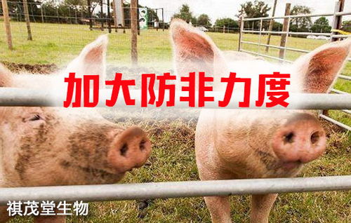 筑牢生物安全屏障 抓實關鍵措施，防控重大疫病，保障畜牧漁業飼料銷售穩定